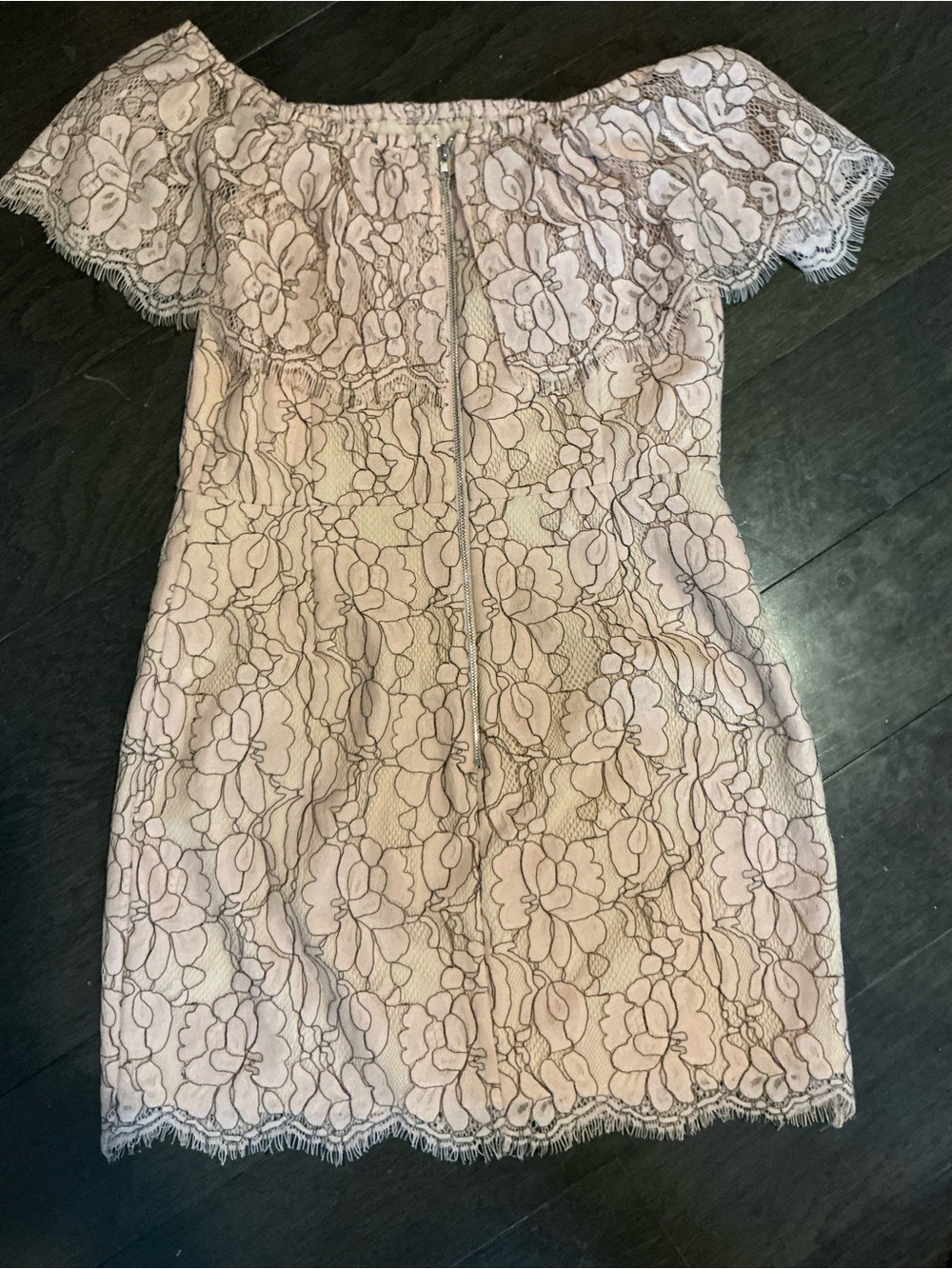 Endless Rose Blush Lace One-Shoulder Sheath Dress